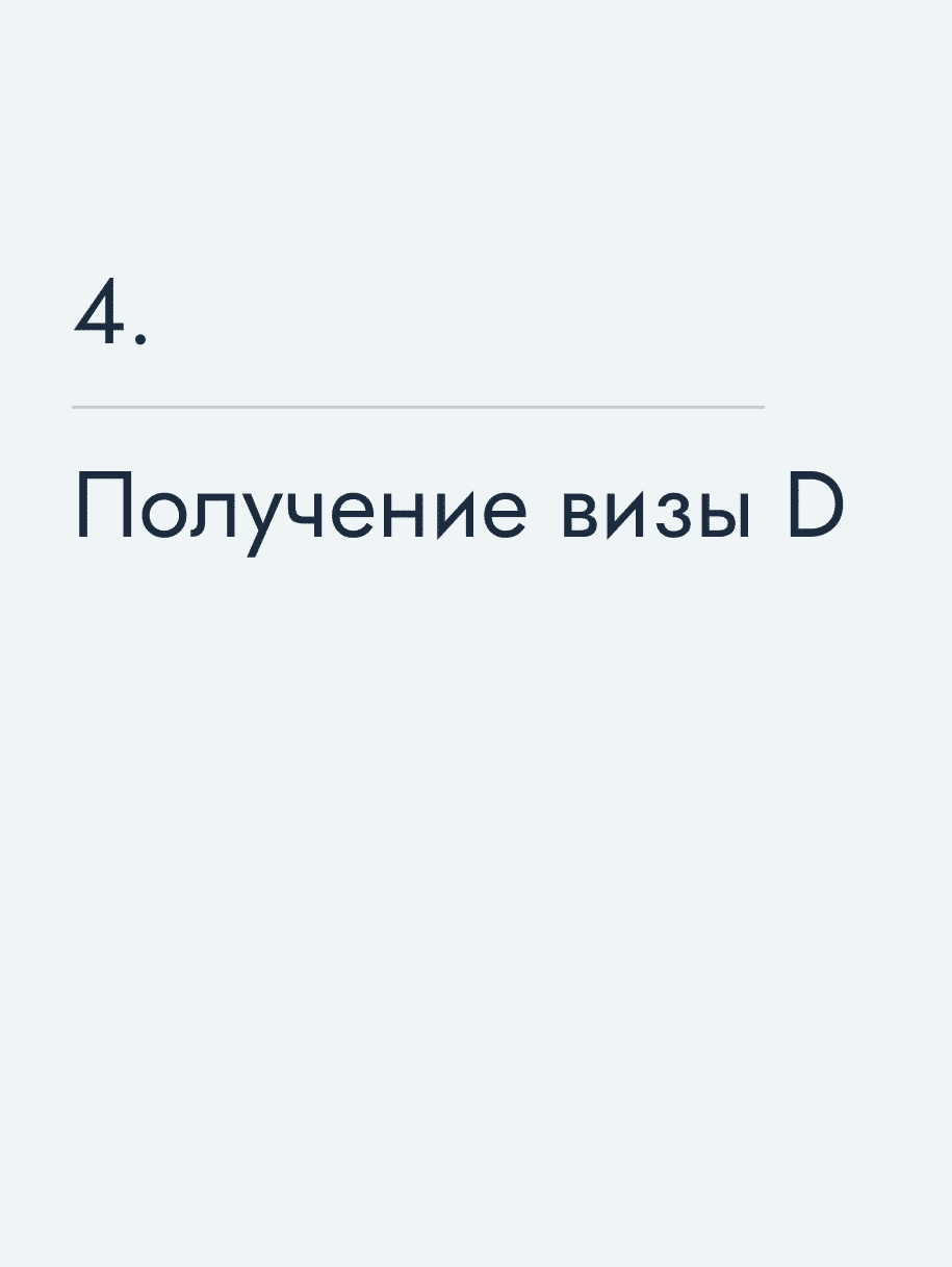 Получение визы D